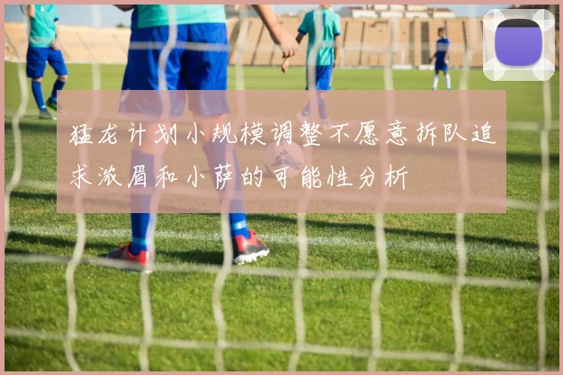猛龙计划小规模调整不愿意拆队追求浓眉和小萨的可能性分析