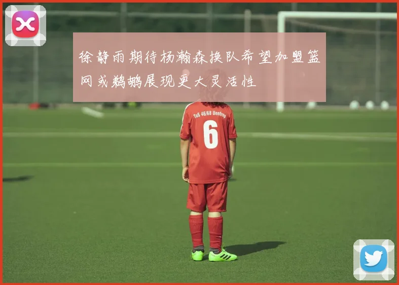 徐静雨期待杨瀚森换队希望加盟篮网或鹈鹕展现更大灵活性